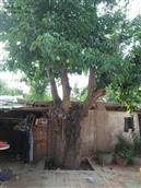 甘肃省,白银市,靖远县,兴隆乡,马尾村