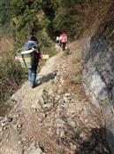 重庆市,南川区,金山镇,金狮村