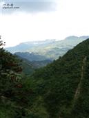 重庆市,南川区,金山镇,金狮村