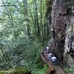 重庆市,南川区,金山镇,金狮村