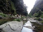 重庆市,南川区,金山镇,金狮村