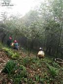 重庆市,南川区,金山镇,金狮村