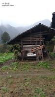 重庆市,南川区,金山镇,金狮村