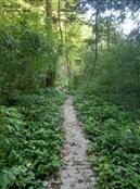 重庆市,南川区,金山镇,金狮村