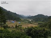 联江村 自然风景