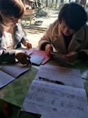 安徽省,淮北市,濉溪县,双堆集镇,张圩村