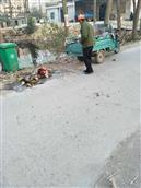 安徽省,淮北市,濉溪县,双堆集镇,张圩村