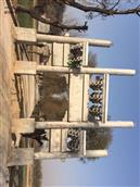 甘肃省,天水市,武山县,洛门镇,旱坪村