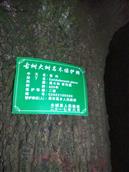 贵州省,六盘水市,水城区,果布嘎乡,高石坎村