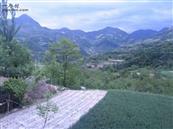 甘肃省,陇南市,礼县,滩坪乡,川坪村