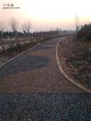张冉村 湿地公园张冉村段鹅卵石跑道，晨练佳地。