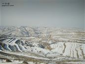 甘肃省,定西市,通渭县,榜罗镇,张坪村