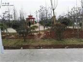 安徽省,宿州市,泗县,黑塔镇,蒋杨村
