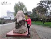 河北省,保定市,涿州市,东仙坡镇,练庄村