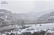 甘肃省,兰州市,七里河区,阿干镇,坪岭村