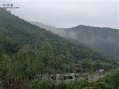 甘肃省,天水市,秦州区,天水镇,古集村