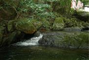 大利村 湖南省永州市新田县毛里乡大利村玉屏山村瀑布寺庙溶洞旅游区
玉屏山村是新田县一个行政村，大利村，友好好客,物产丰富,英才辈出,气候宜人
村内企业：麻纺厂，电子仪表厂，
主要农产品：香菜，椰子，李子，红苕，草莓，水果，芹菜，酸橙，香梨，冬枣，茶叶
村内资源：沸石金红石，铜矿，铜，溶洞，寺庙，小河，瀑布，明清建筑
村里单位：大利村广播站，大利村粮站，大利村党支部
好美丽的地方，欢迎大家过来游玩