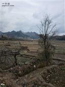 贵州省,黔东南州,雷山县,大塘乡,排里村