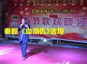 甘肃省,天水市,秦安县,兴丰乡,上陈村