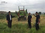 石化新村 2016年米东区法院工作组，帮助石化新村群众收割小麦