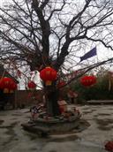 河南省,平顶山市,宝丰县,前营乡,关帝庙村