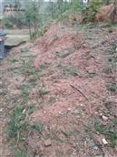 湖南省,株洲市,茶陵县,马江镇,浪滩村