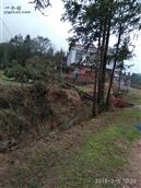 湖南省,株洲市,茶陵县,马江镇,浪滩村