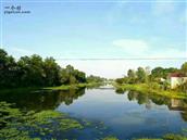 安徽省,安庆市,望江县,高士镇,箭坝村