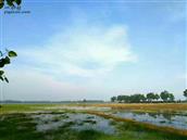 安徽省,安庆市,望江县,高士镇,箭坝村