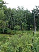 安徽省,安庆市,望江县,高士镇,箭坝村