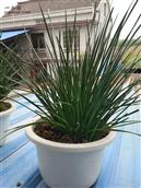 安徽省,安庆市,望江县,高士镇,箭坝村