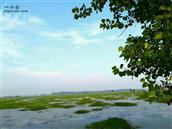 安徽省,安庆市,望江县,高士镇,箭坝村