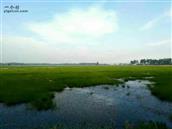 安徽省,安庆市,望江县,高士镇,箭坝村