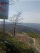 甘肃省,天水市,麦积区,新阳镇,温缑村