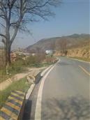 甘肃省,天水市,麦积区,新阳镇,温缑村
