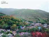 甘肃省,天水市,武山县,四门镇,水洞沟村