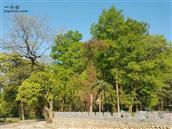 江西省,景德镇市,浮梁县,勒功乡,白茅村