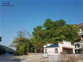 江西省,景德镇市,浮梁县,勒功乡,白茅村