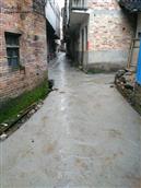 石排楼村 整洁干净的村道