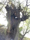 甘肃省,白银市,靖远县,兴隆乡,马尾村