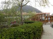 庙坝村 省级文明学校-----和平生态校园