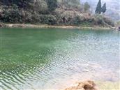 四川省,广安市,邻水县,黎家乡,蒋家槽村