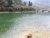 四川省,广安市,邻水县,黎家乡,蒋家槽村