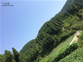 四川省,广安市,邻水县,黎家乡,蒋家槽村