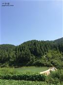 四川省,广安市,邻水县,黎家乡,蒋家槽村