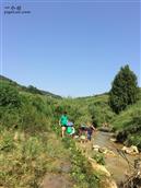 四川省,广安市,邻水县,黎家乡,蒋家槽村