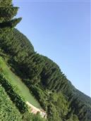 四川省,广安市,邻水县,黎家乡,蒋家槽村