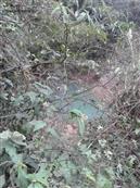 四川省,广安市,邻水县,黎家乡,蒋家槽村