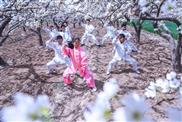 北周卦村 2018年4月6日，首届北周卦太极文化节于石家庄市藁城区北周卦村隆重开幕。
