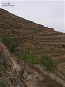 甘肃省,天水市,麦积区,新阳镇,蚰蜒咀村